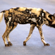 Illustration for article titled Kuiu Teton Review: High Performance Camo Goes Affordable